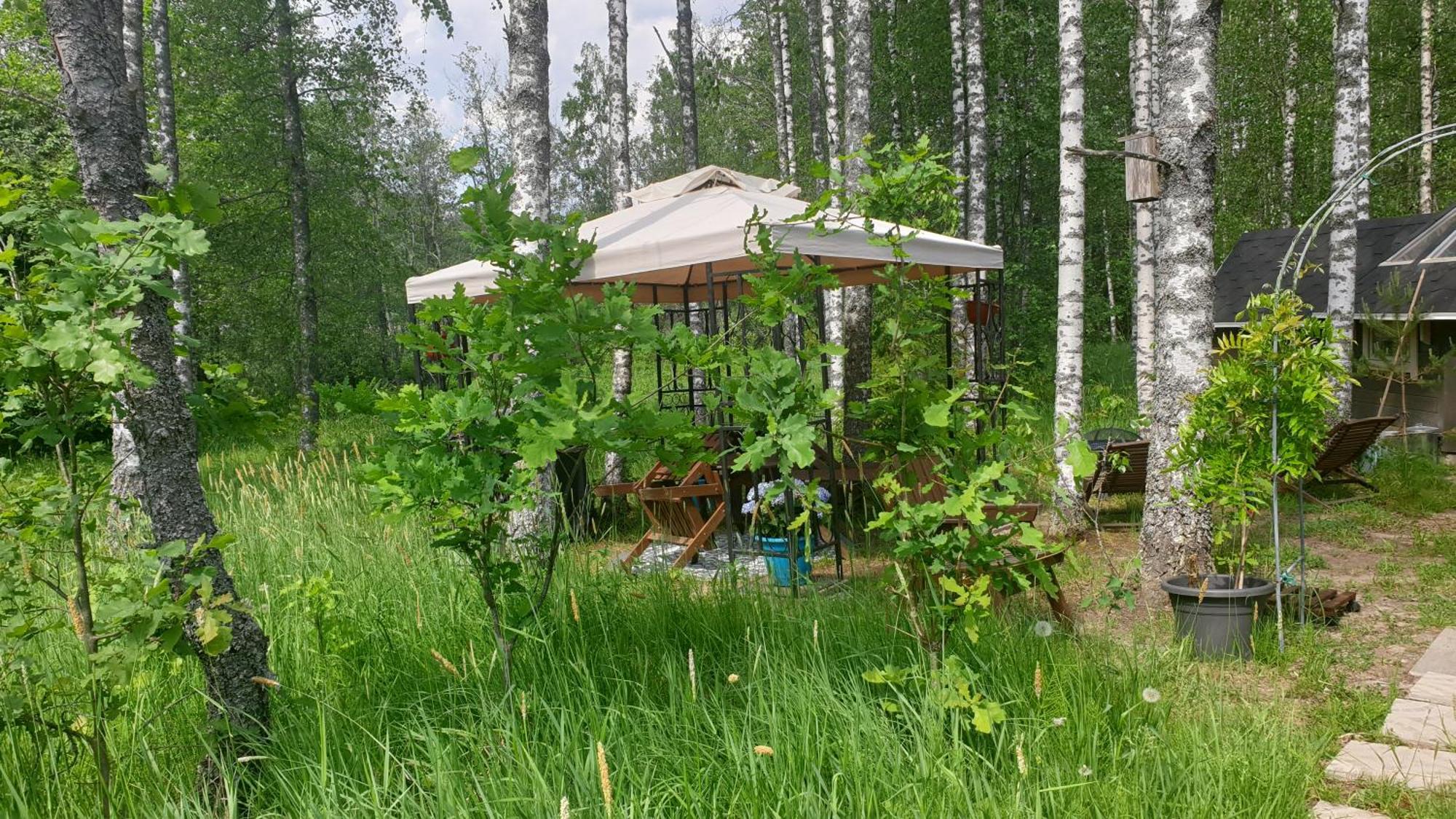 Troll House Eco-Cottage, Nuuksio For Nature Lovers, Petfriendly Espoo Buitenkant foto